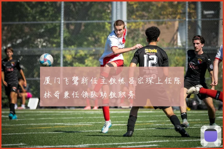 厦门飞鹭新任主教练吕宏琛上任陈林奇兼任领队助教职务